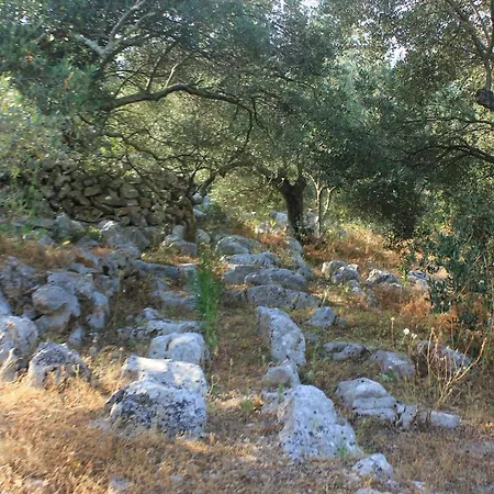Secluded Fisherman's Cove Magrovica - Telascica, Dugi Otok - 8122 Holiday home