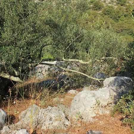 Secluded Fisherman's Cove Magrovica - Telascica, Dugi Otok - 8122
