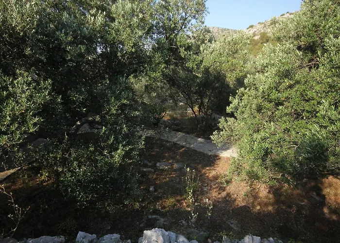 Feriehus Secluded Fisherman's Cove Magrovica - Telascica, Dugi Otok - 8122 *