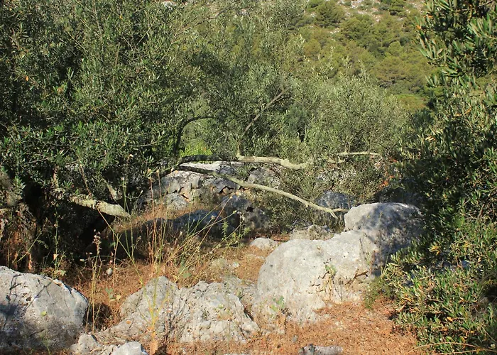 Secluded Fisherman's Cove Magrovica - Telascica, Dugi Otok - 8122